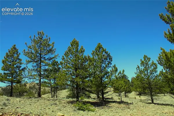 12451 Us-24 Highway, Hartsel, CO 80449