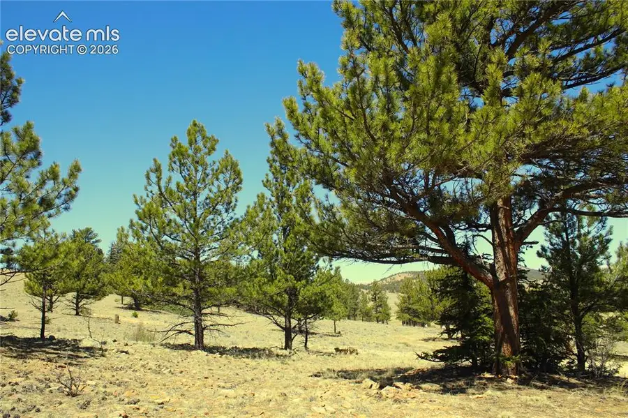 12451 Highway 24, Hartsel, CO 80449 - #3