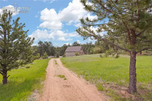 5254 High Park Road, Florissant, CO 80816
