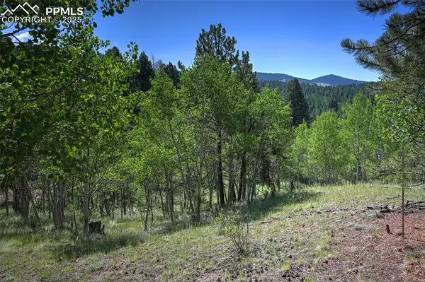412 Princess Road, Cripple Creek, CO 80813