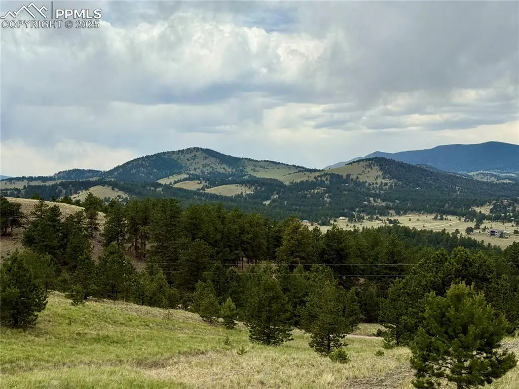 682 Nancy Ann Arroyo, Guffey, CO 80820 - Image #1