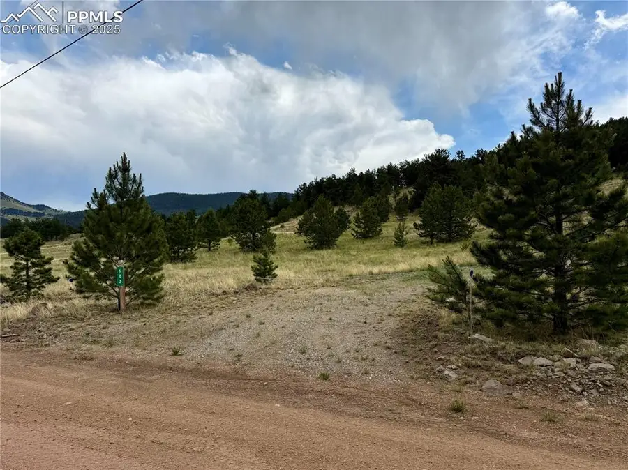 682 Nancy Ann Arroyo, Guffey, CO 80820 - Image #3