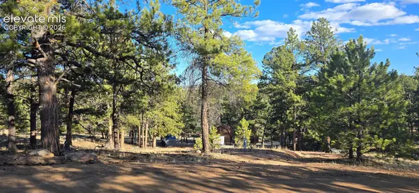 595 Mustang Trail, Florissant, CO 80816