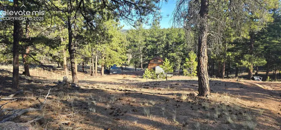 595 Mustang Trail, Florissant, CO 80816 - #2