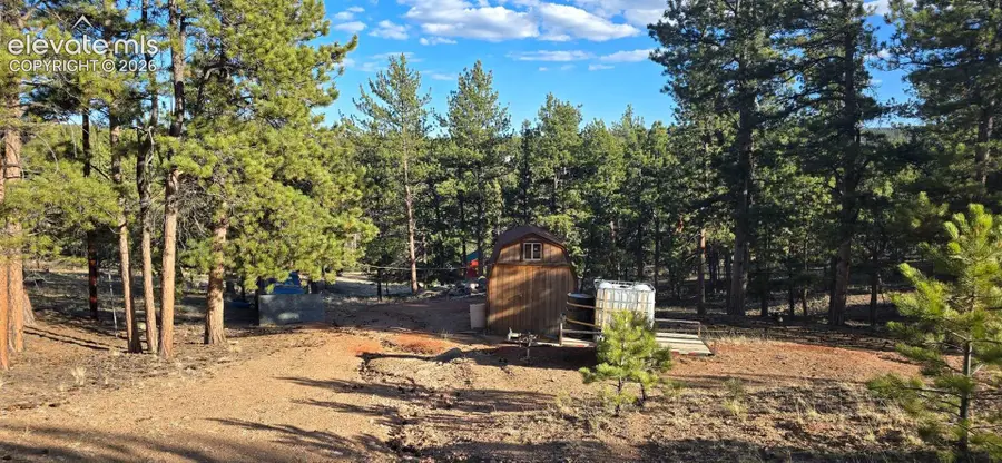 595 Mustang Trail, Florissant, CO 80816 - #3