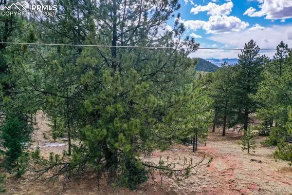 395 Wabash Terrace, Cripple Creek, CO 80813