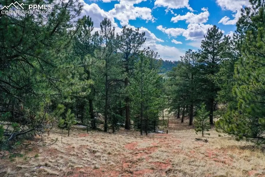 395 Wabash Terrace, Cripple Creek, CO 80813 - #2
