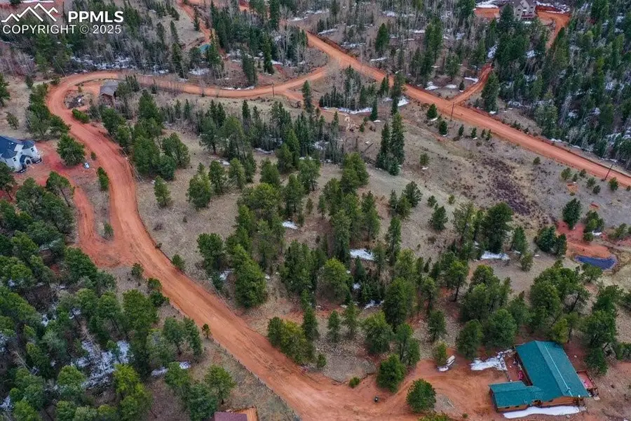 395 Wabash Terrace, Cripple Creek, CO 80813 - #3