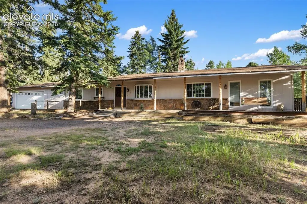861 Teller Lane, Woodland Park, CO 80863 - #1