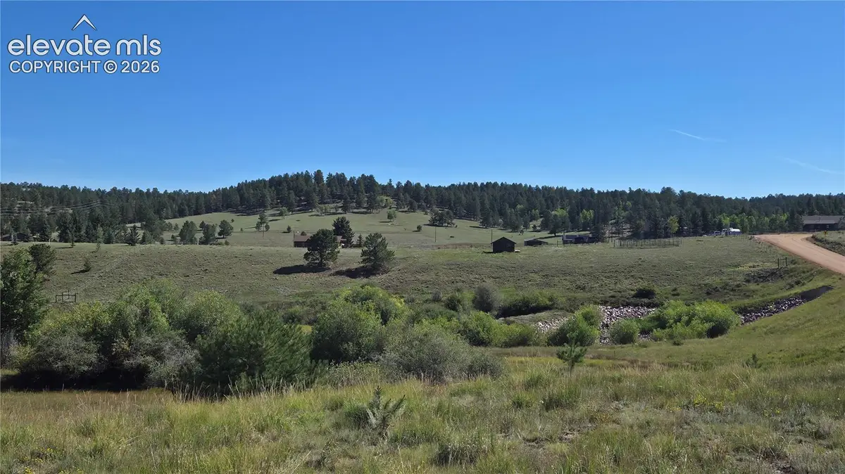 99 Uintah Ridge Road, Florissant, CO 80816 - #1