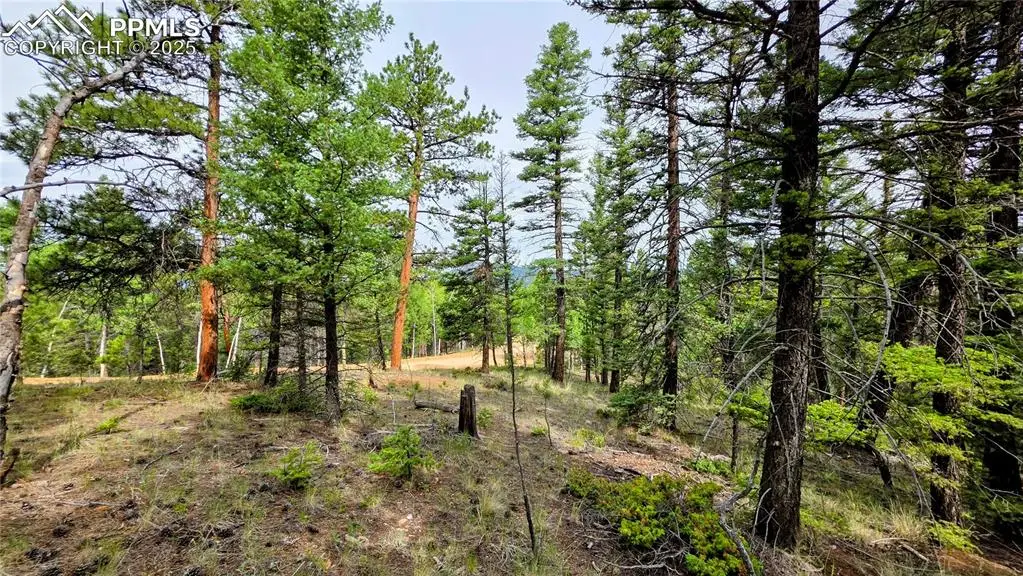 223 Shavano Creek Trail, Florissant, CO 80816 - Image #1