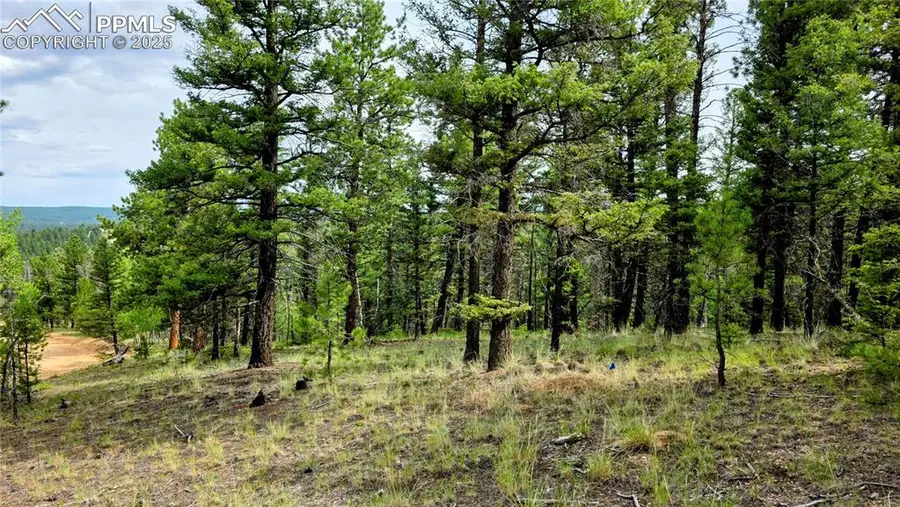 223 Shavano Creek Trail, Florissant, CO 80816 - Image #2