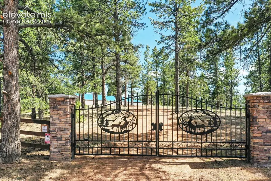 2754 County Road 421, Florissant, CO 80816 - #2