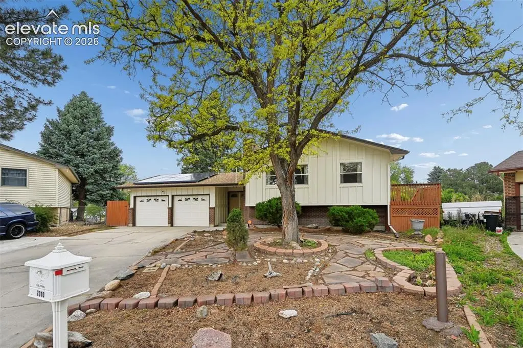 7010 Burroback Court, Colorado Springs, CO 80911 - #1
