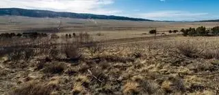 3503 Redhill Road, Florissant, CO 80440