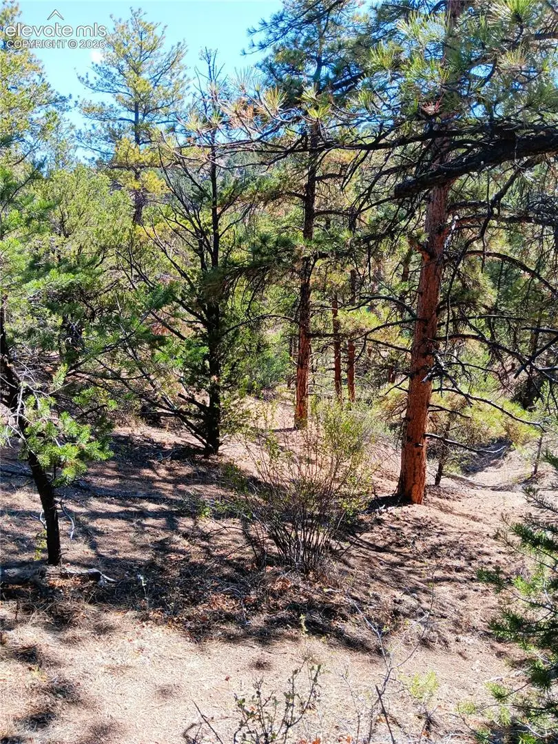 TR-21 43rd Trail, Cotopaxi, CO 81223 - #2
