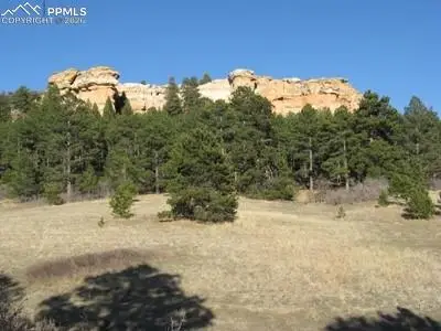 772 Douglas Avenue, Palmer Lake, CO 80133 - #2