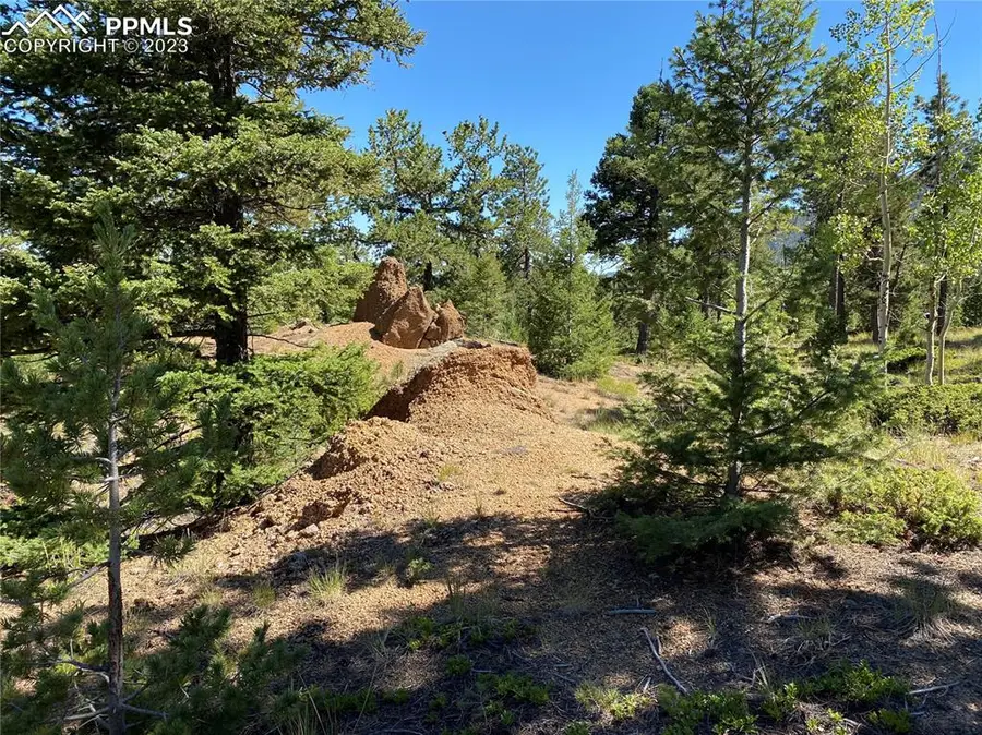 156 Big Bear Road, Manitou Springs, CO 80829 - Image #2