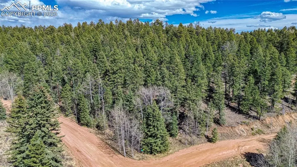 3075 N Mountain Estates Road, Florissant, CO 80816 - #1