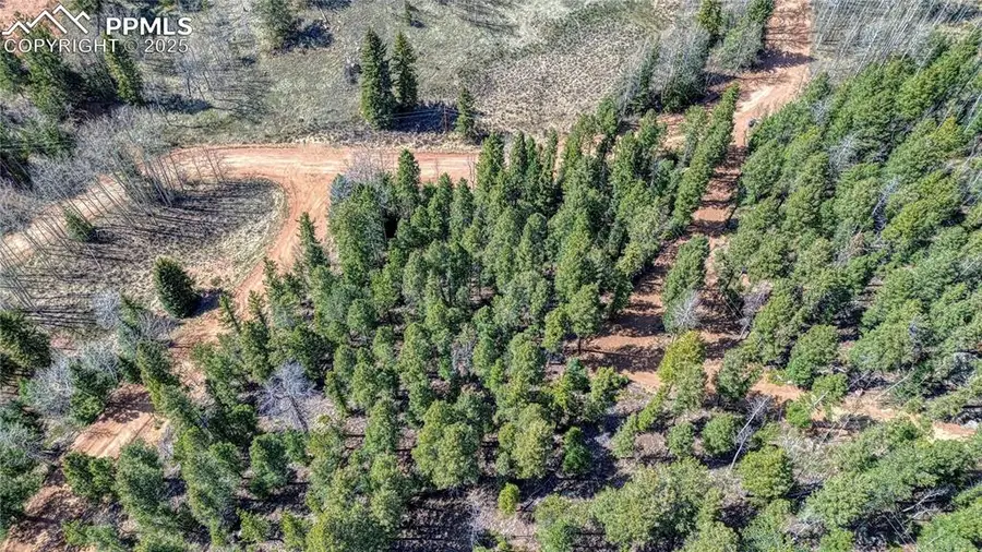 3075 N Mountain Estates Road, Florissant, CO 80816 - #3