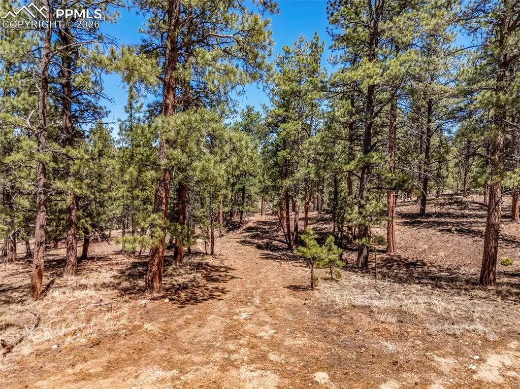 185 Sioux Trail, Westcliffe, CO 81252 - #1