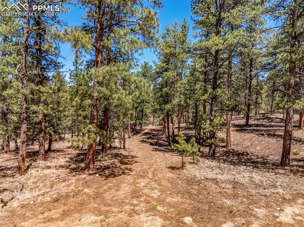 185 Sioux Trail, Westcliffe, CO 81252