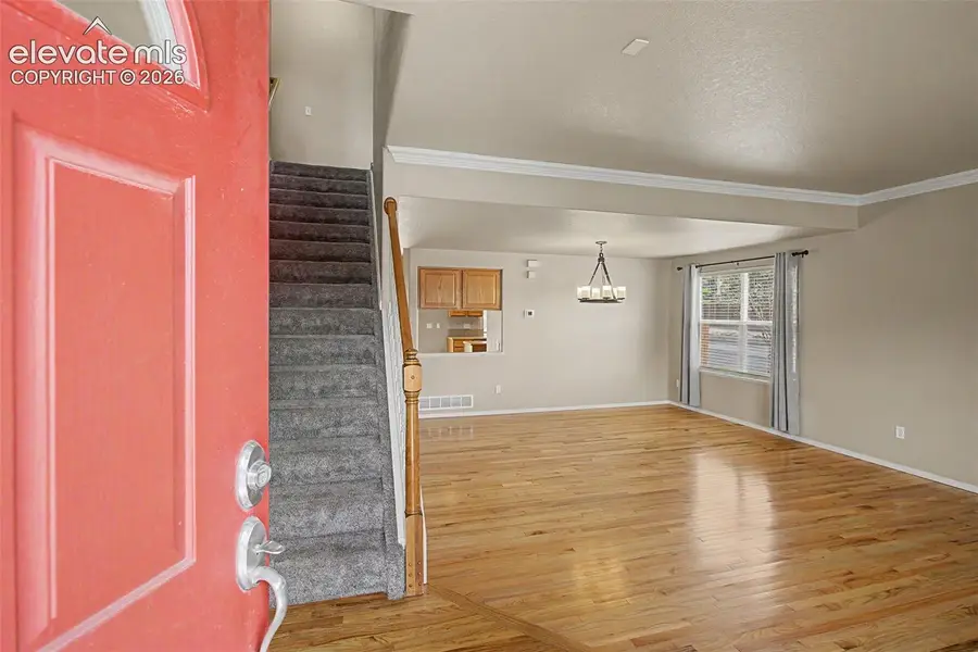 4094 Morning Glory Road, Colorado Springs, CO 80920 - #3