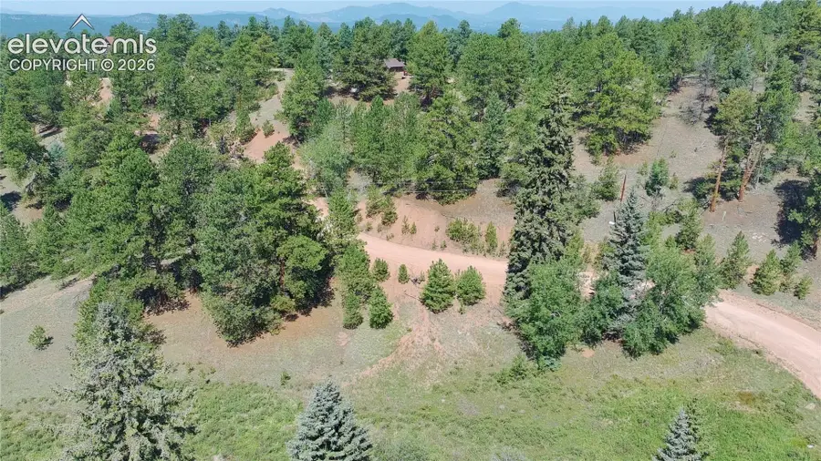 835 Spring Valley Lane, Florissant, CO 80816 - #3