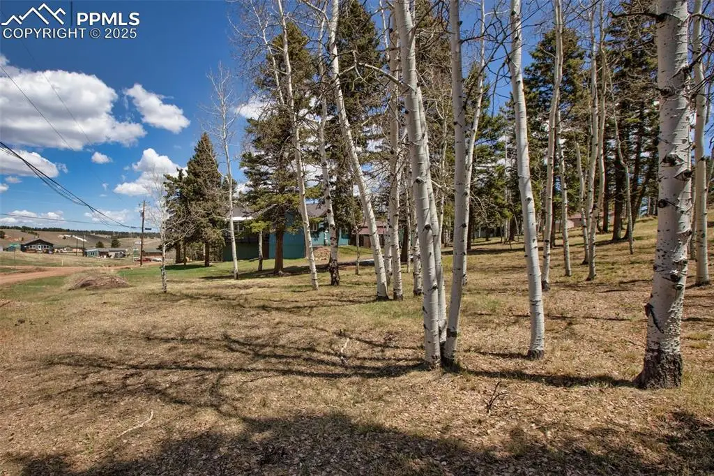 571 Will Scarlet Drive, Divide, CO 80814 - Image #1