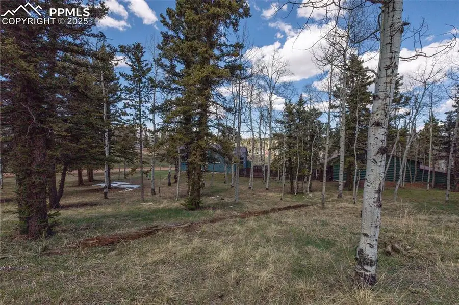 571 Will Scarlet Drive, Divide, CO 80814 - Image #2