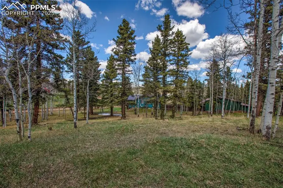 571 Will Scarlet Drive, Divide, CO 80814 - Image #3