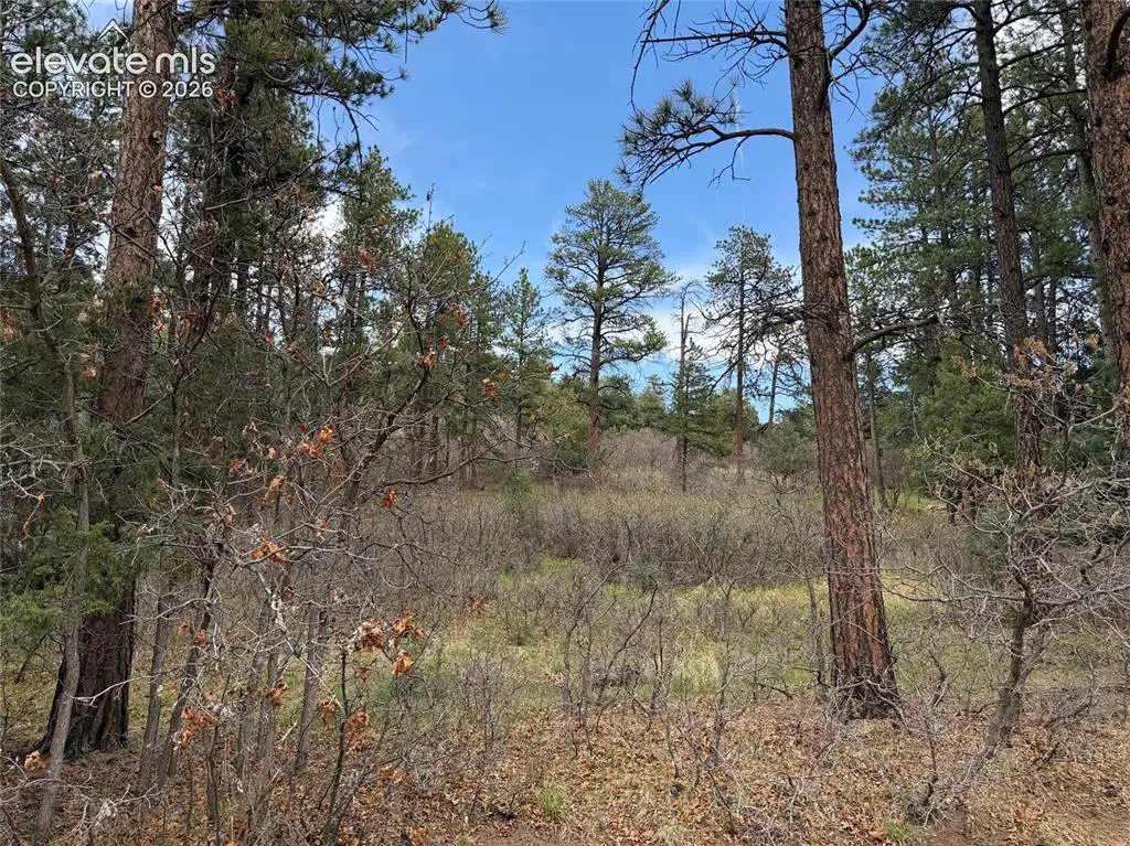 4885 Red Rock Drive, Larkspur, CO 80118 - #1