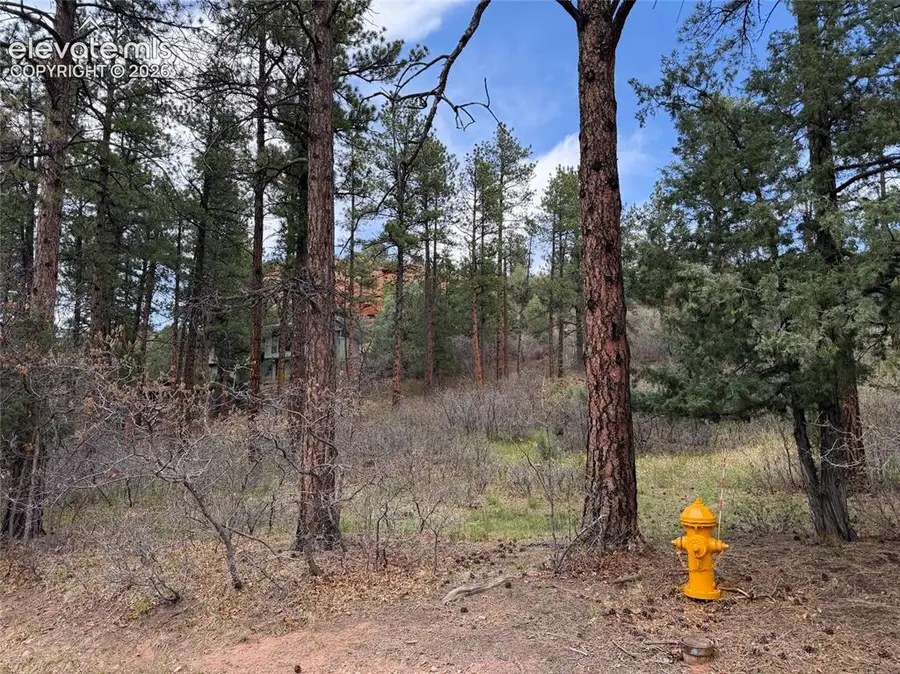 4885 Red Rock Drive, Larkspur, CO 80118 - #2
