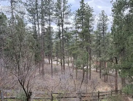 4885 Red Rock Drive, Larkspur, CO 80118 - #3