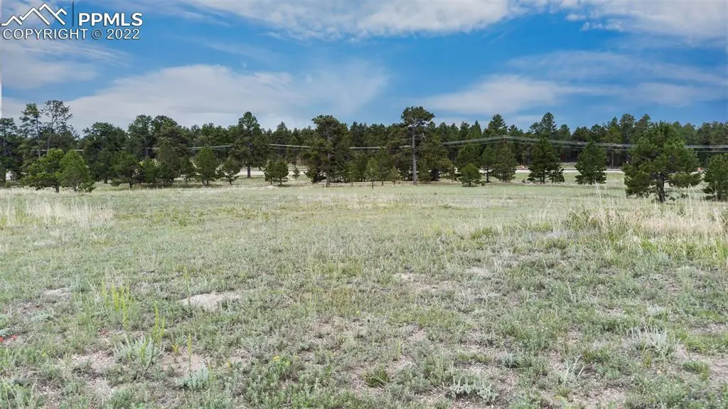 11809 Flap Jack Lane, Colorado Springs, CO 80908 - #1