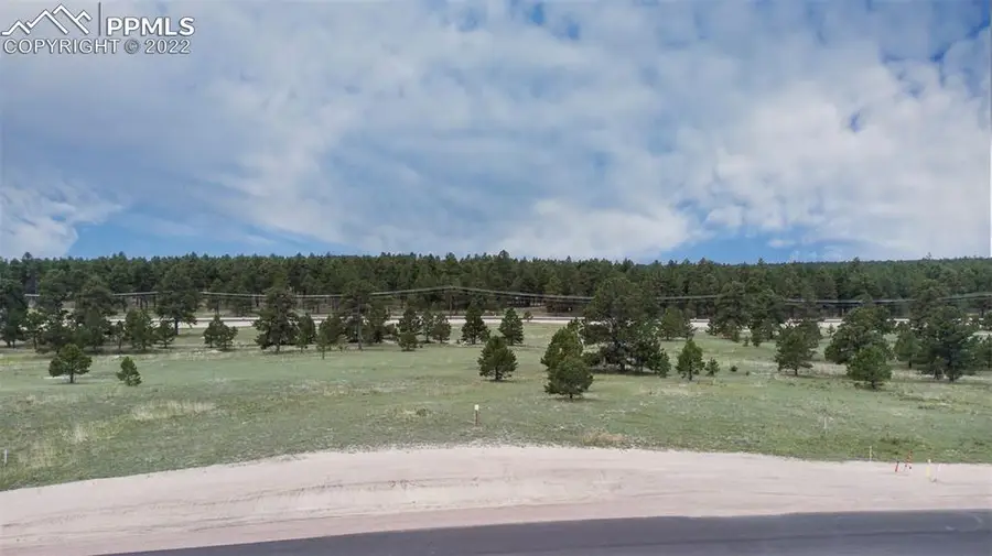 11809 Flap Jack Lane, Colorado Springs, CO 80908 - #3