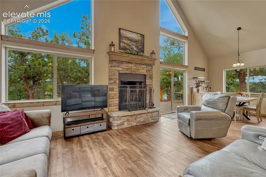 73 Black Mesa Circle, Florissant, CO 80816 - #3