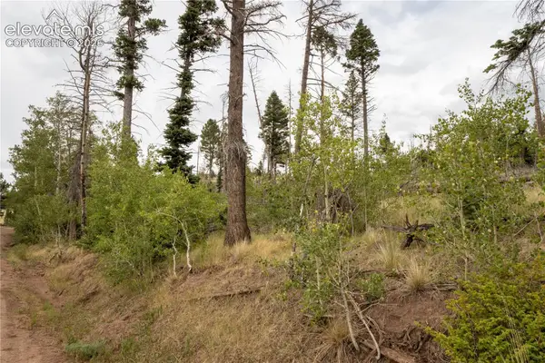 Lot 2571 Andes Loop, Fort Garland, CO 81133