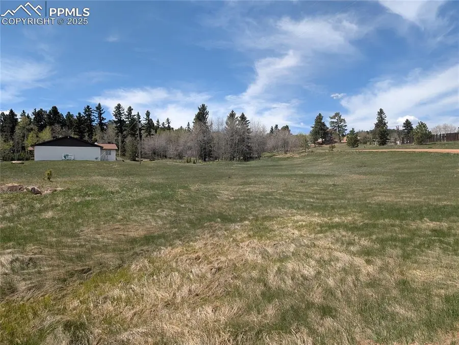 Lot83 + 84 Fountain Dale Lane, Divide, CO 80814 - #2