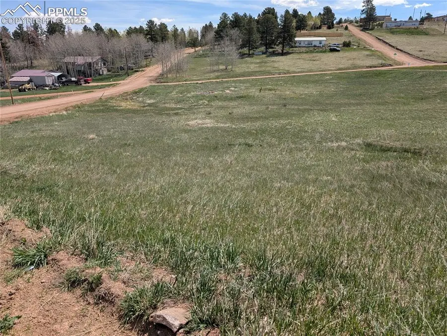 Lot83 + 84 Fountain Dale Lane, Divide, CO 80814 - #3