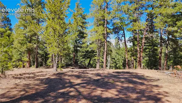 178 Gerka Lane, Florissant, CO 80816