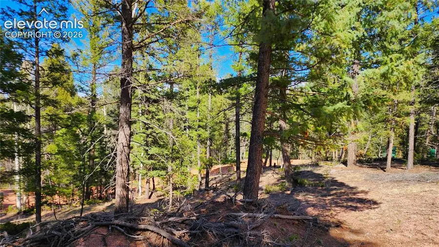 178 Gerka Lane, Florissant, CO 80816 - #2