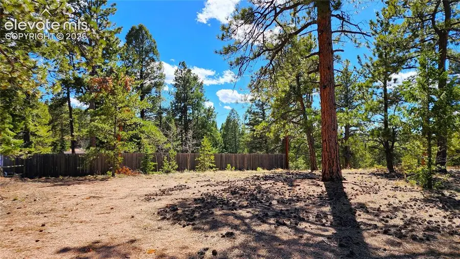 178 Gerka Lane, Florissant, CO 80816 - #3