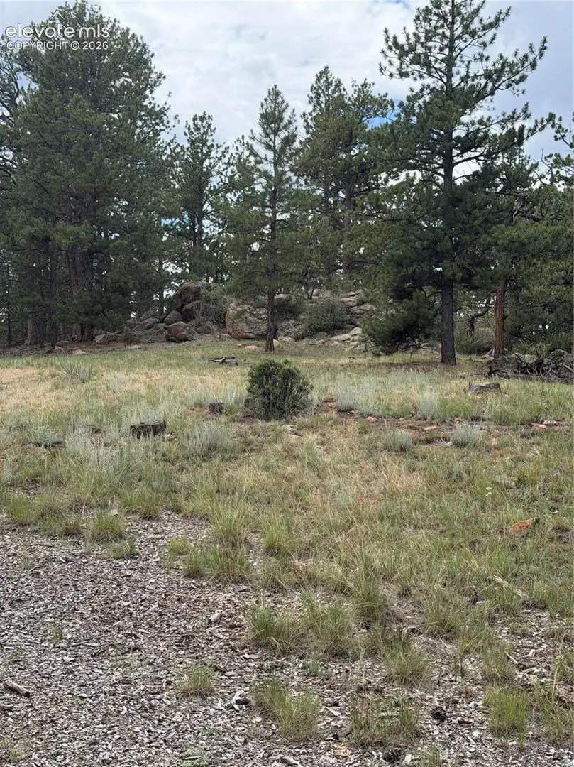 11042 County Road 1, Florissant, CO 80816 - #3