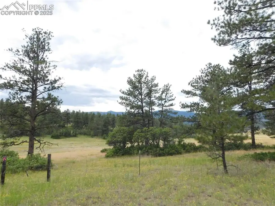 Pasque Court, Larkspur, CO 80118 - Image #2