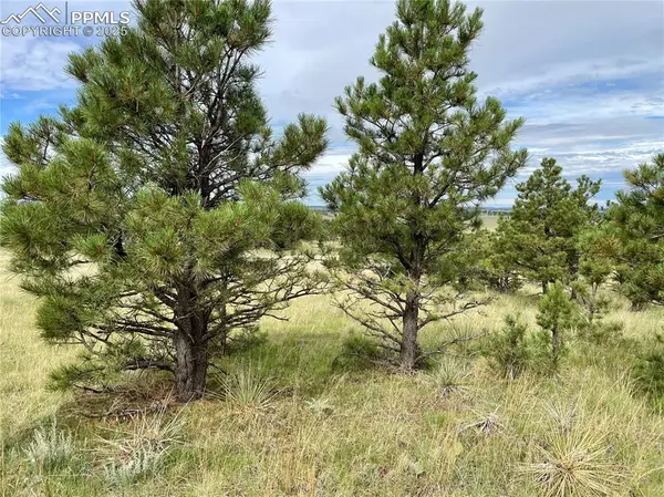 31963 Cattle Circle, Ramah, CO 80832