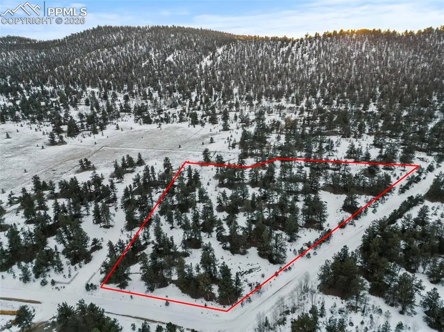 3948 S Muley Gulch Drive, Hartsel, CO 80449 - #2