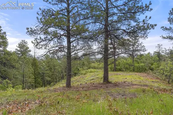 2054 Stratton Forest Heights, Colorado Springs, CO 80906