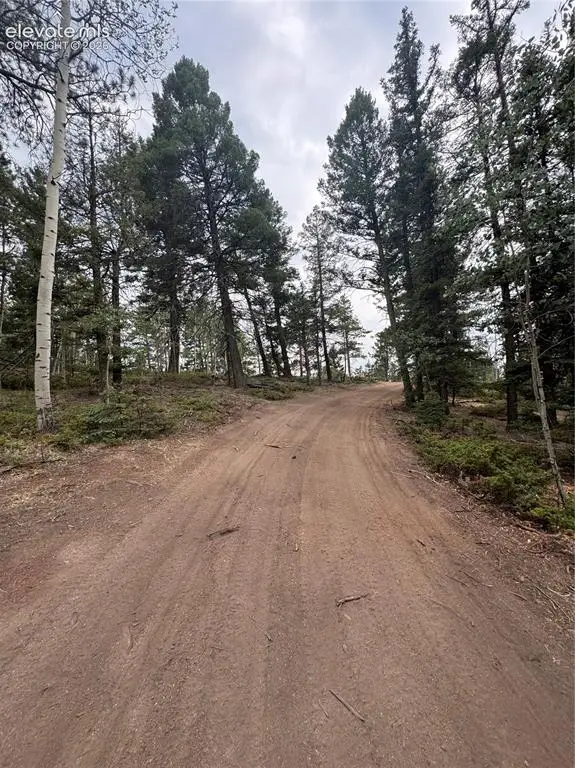 111 Elk Creek Drive, Divide, CO 80814 - #3