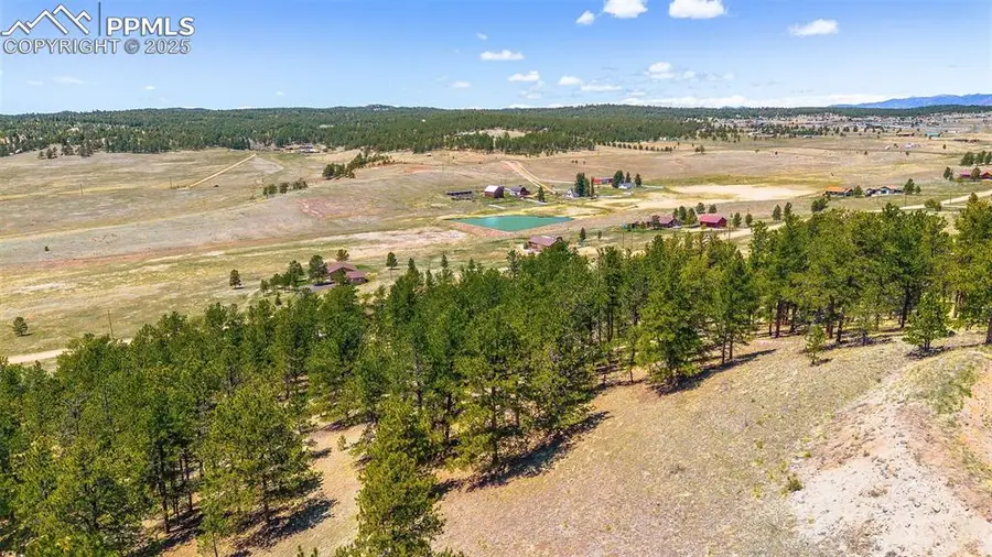 56 Dallas Park Circle, Florissant, CO 80816 - Image #3